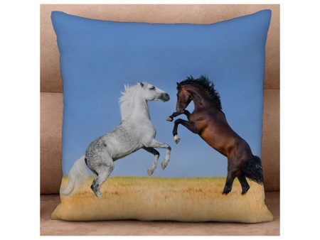 Battle for Supremacy Cushion cover