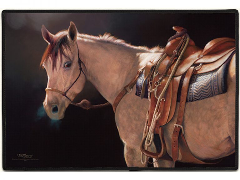 Jack's Night Horse Indoor / Outdoor Mat