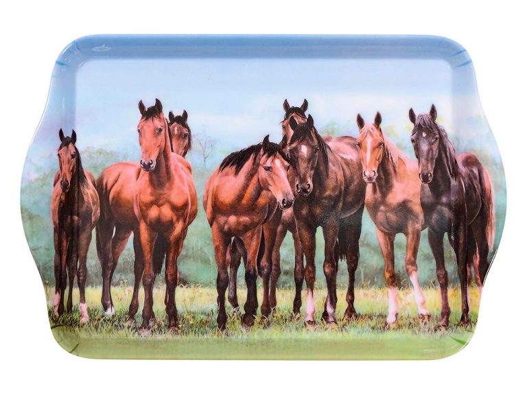 Beauty of Horses In The Pasture Scatter Tray