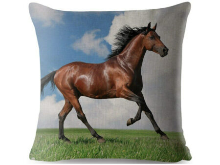 cushion-cover-beautiful-bay