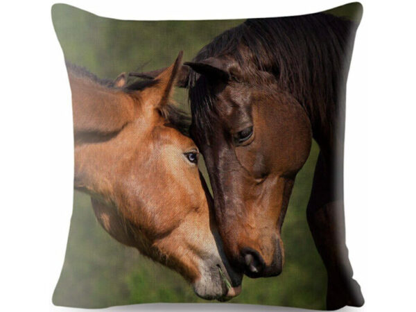 cushion-cover-paddock-buddies