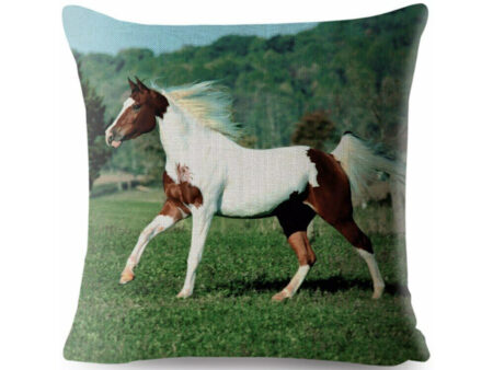 cushion-cover-paint