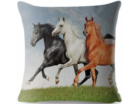 cushion-cover-trio-of-colour